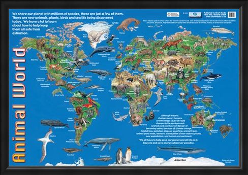 Framed Framed Animals of the World - Animal World Map